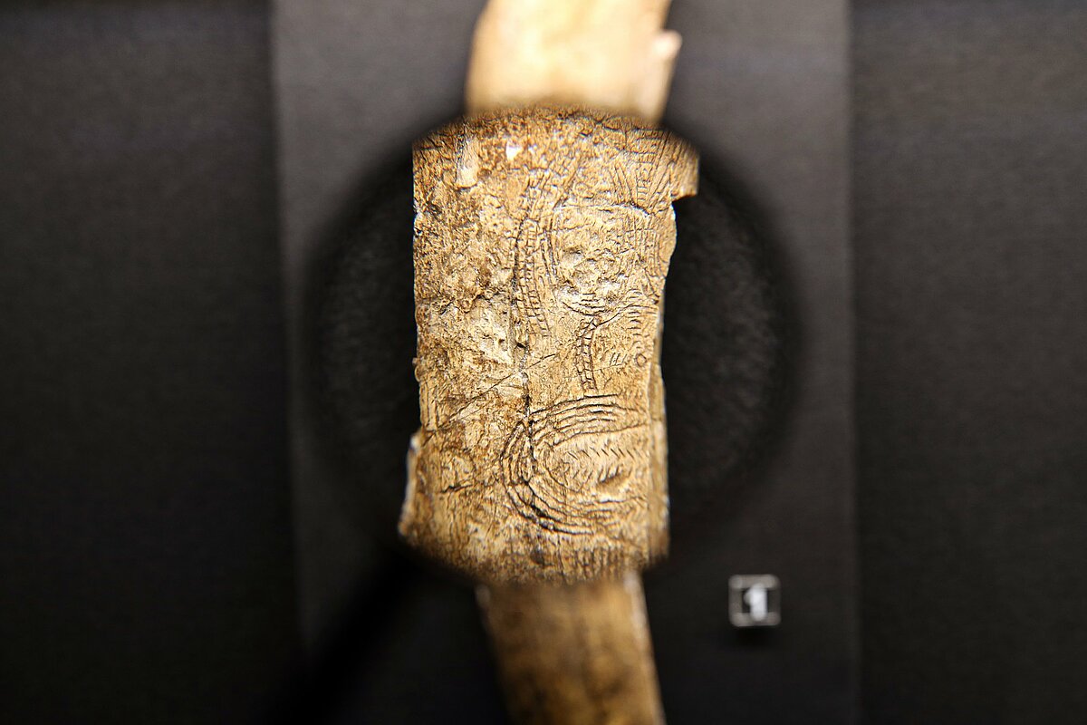 csm_IMG_7973_621a20db7a