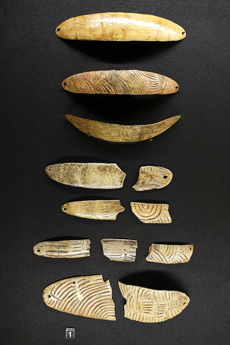 csm_IMG_7985_6d49842011